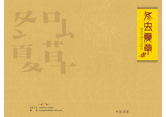 &#75;&#97;&#105;&#121;&#117;&#110;&#65288;&#20013;&#22269;&#22823;&#38470;&#65289;&#25511;&#32929;&#26377;&#38480;&#20844;&#21496;&#45;&#23448;&#26041;&#32593;&#31449;&#47;&#30331;&#24405;&#20837;&#21475;